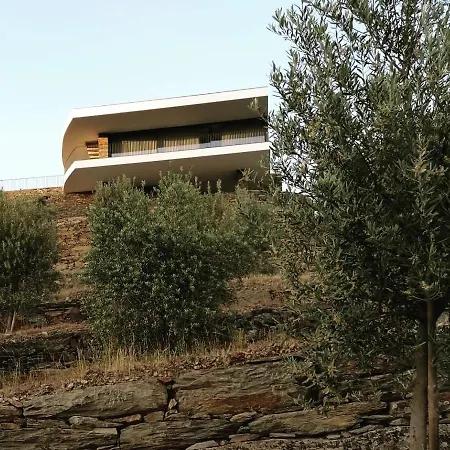Quinta Vale Das Papas Βίλα